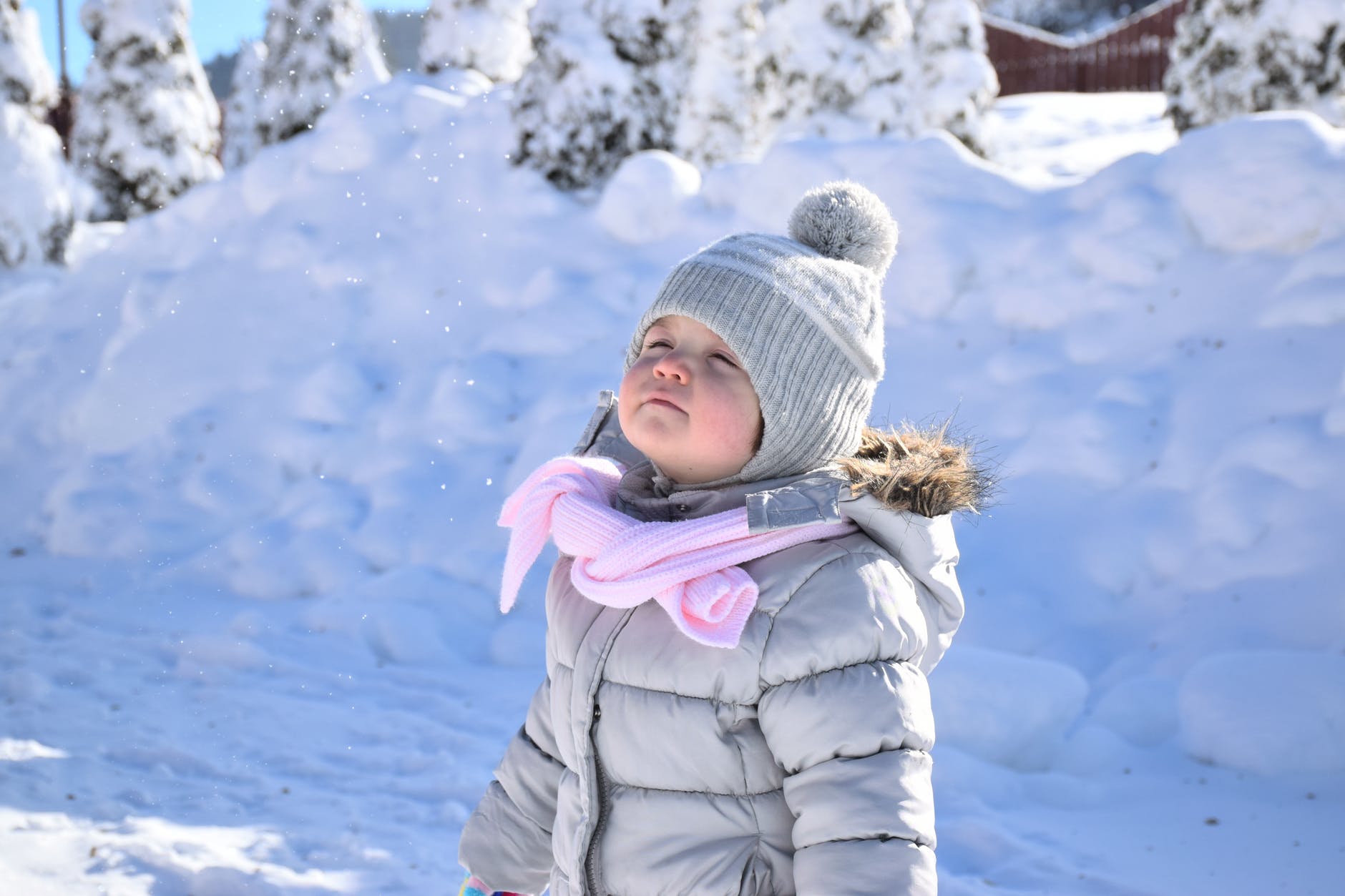 Winter